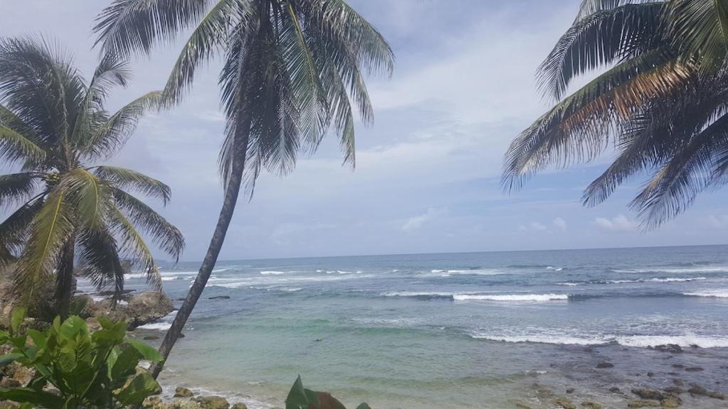 Вілла Donamae 2 Story Barbados House Бриджтаун Екстер'єр фото