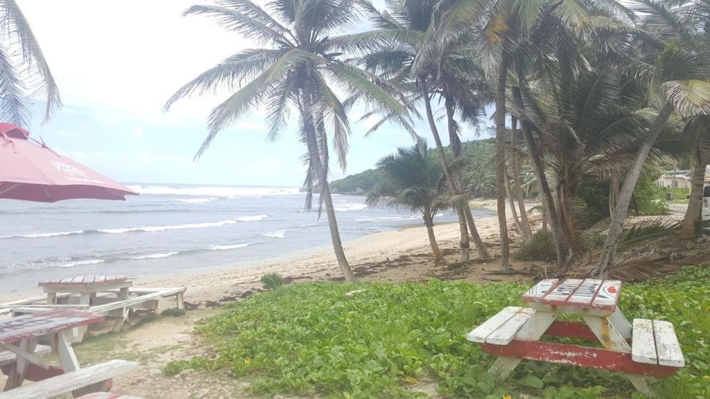 Вілла Donamae 2 Story Barbados House Бриджтаун Екстер'єр фото